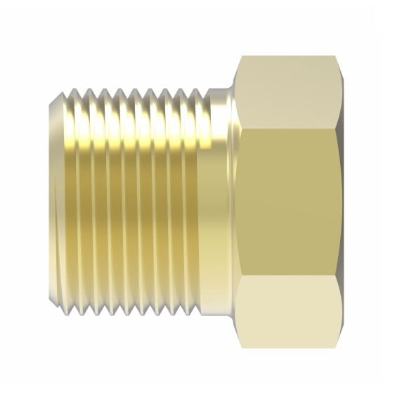 3152X8 by Danfoss | Pipe Adapter | Hex Head Plug | 1/2" Male NPTF (Short Thread) | Brass