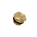 0220 21 00 by Parker | Legris Hex Head Plug | 1/2" Male BSPP Thread | 22 mm Hex | Brass