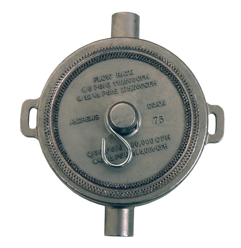 300-SFC-SS by Dixon Valve | Tank Transport Equipment | Fusible Pipe Cap | 3" Female NPSM | Stainless Steel