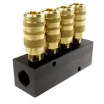 3063-15C by Coilhose | Straight Manifold Assembly | 6 Port Aluminum Manifold | 1/4" 6 Ball Industrial Interchange