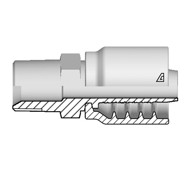 B-1012-MBPT Alfagomma by Kuriyama | B Series | One-Piece AlfaCrimp Hydraulic Hose Fitting | -10 Hose ID X -12 Male BSPT / JIS | Steel