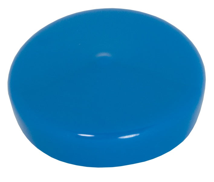 BCW-050 Dixon Valve 1/2" Vinyl Plastic Sanitary Weld End Blue Protection Cover