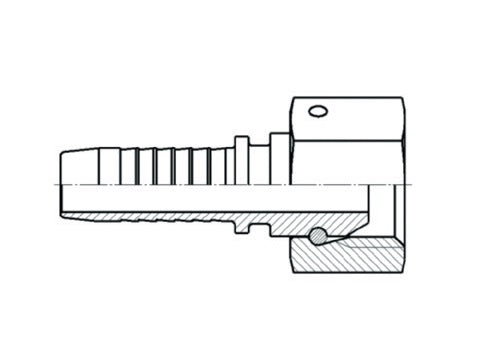 D208171 by Brennan Inc. | 3/4" Hose Tail(HT) x 1/2" Female BSPP | Straight | Stainless Steel