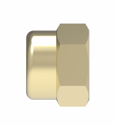 3129X4 by Danfoss | Pipe Adapter | Cap | 1/4" Female NPTF (Short Thread) | Brass