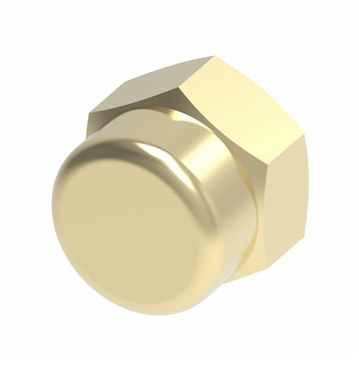 3129X2 by Danfoss | Pipe Adapter | Cap | 1/8" Female NPTF (Short Thread) | Brass