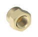 3129X2 by Danfoss | Pipe Adapter | Cap | 1/8" Female NPTF (Short Thread) | Brass