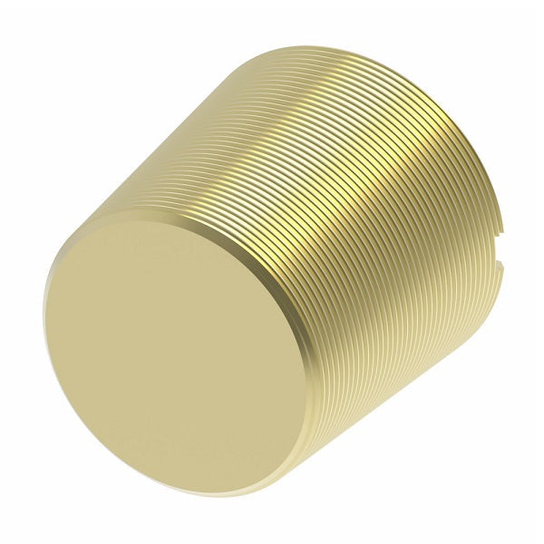 3150X2 by Danfoss | Pipe Adapter | Slotted Plug | 1/8" Male NPTF (Short Thread) | Brass