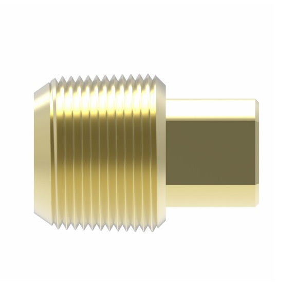 3151X4 by Danfoss | Pipe Adapter | Square Head Plug | 1/4" Male NPTF (Short Thread) | Brass