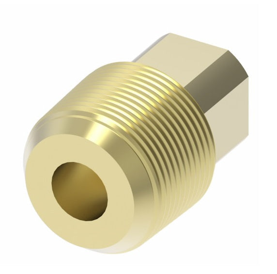 3151X4 by Danfoss | Pipe Adapter | Square Head Plug | 1/4" Male NPTF (Short Thread) | Brass
