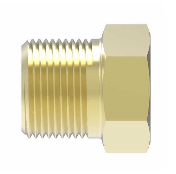 3152X4 by Danfoss | Pipe Adapter | Hex Head Plug | 1/4" Male NPTF (Short Thread) | Brass Pack of 10