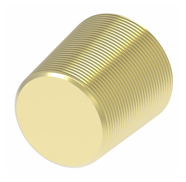 3153X2 by Danfoss | Pipe Adapter | Hex Socket Plug | 1/8" Male NPTF | Brass