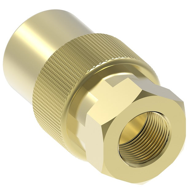 LNFT300 Hansen® by Danfoss | Thermal Management Quick Disconnect Coupling | Flo-Temp Series | 1/4" Female NPTF x 3/8" Body Size | Socket | Brass