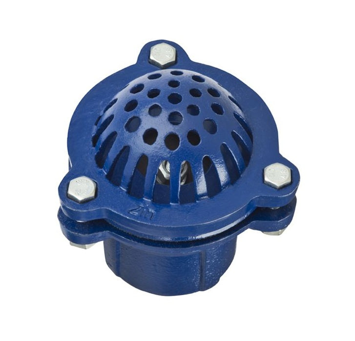 FV400 by Kuriyama | FV Series | Foot Valve | 4" Female NPT | Cast Iron