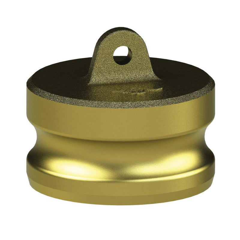1201220 (20W) by PT-Coupling | Cam & Groove Dust Plug | Type W | 2" Adapter | Brass