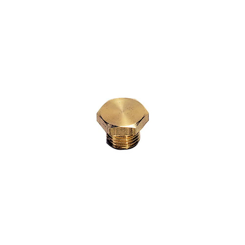 0200 10 00 by Parker | Legris Hex Head Plug | 1/8" Male BSPP Thread | 14 mm Hex | 12.5 mm Length | Brass
