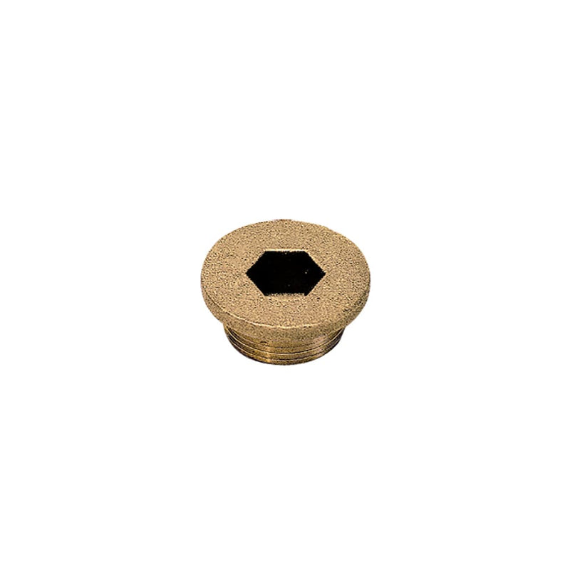 0202 75 00 by Parker | Legris Internal Hex Head Plug w/ Collar | M16x1.5 Male M16 Metric Thread | 8 mm Hex | 13 mm Length | Brass | Pack of 10