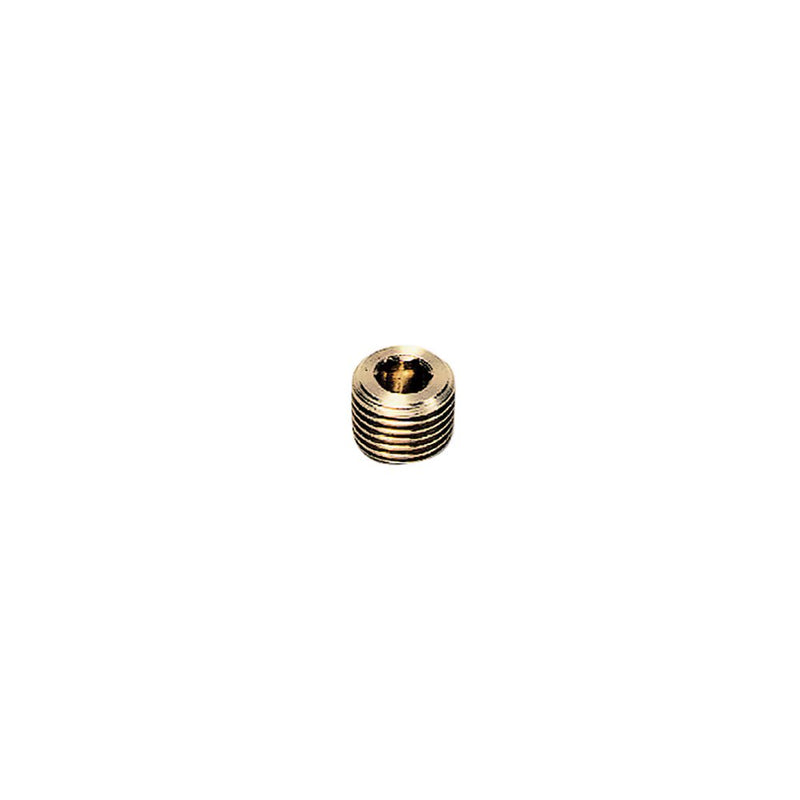 0205 49 00 by Parker | Legris Internal Hex Head Plug | 1-1/2" Male BSPT Thread | 24 mm Hex | 22 mm Length | Brass
