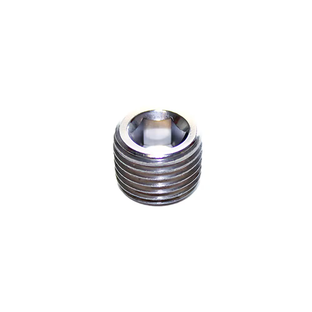 0285 18 00 by Parker | Legris Internal Hex Head Plug | 3/8" Male NPT Thread | 8 mm Hex | 11 mm Length | 316L Stainless Steel