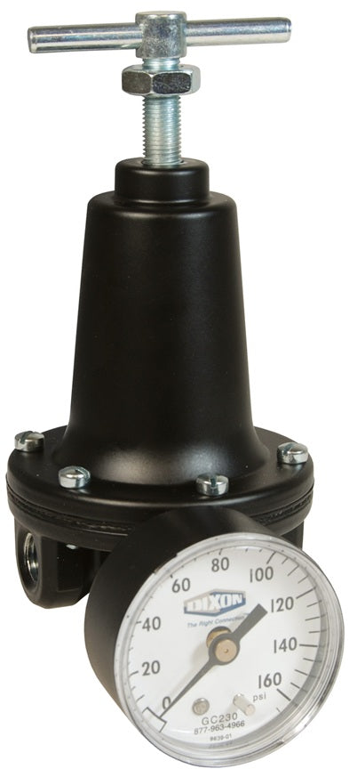 R119-03CG Watts by Dixon Valve | R119-Series | Standard Regulator | 3/8" Size | 110 SCFM | with Gauge | 2 - 125 PSIG Pressure Range