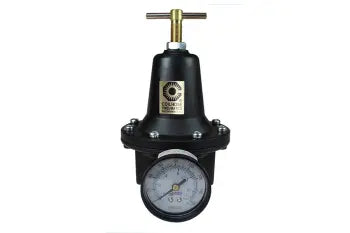 8802G-CS by Coilhose | Heavy Duty Series Regulator | 1/4" Port Size | Gauge | Clam Shell