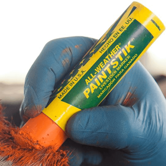 061021 by All-Weather | Paintstik Livestock Marker | Yellow | Case of 144