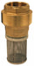 BVFS25 by Dixon Valve | Spring-Loaded Check Valve with Strainer  | 2" Female NPT | Brass & Stainless Steel