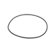 12719A Banjo Replacement Part for Self-Priming Centrifugal Pumps - Body O-Ring