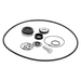 13999 Banjo Replacement Part for Self-Priming Centrifugal Pumps - EPDM Seal Kit