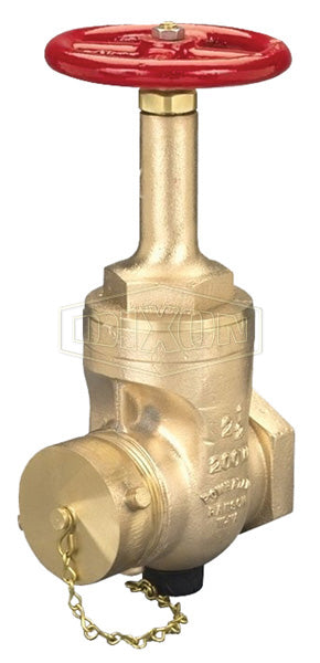 RWDGV250F Dixon Rising Stem Wedge Disc Gate Valve - 2-1/2" Female NPT Inlet x 2-1/2" Male NST(NH) Outlet - 200 PSI