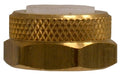 20211 (20-211) Midland Flareless Fitting - Nut and Plastic Sleeve Assembly - 1/4" Tube OD - Brass