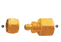 266-04-04 Adaptall Brass -04 Polytube Compression x -04 Female BSP Solid Adapter