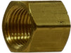 28078 (28-078) Midland Female Pipe Cap - 1/2" Female NPTF x 1/2" Female NPTF - Brass