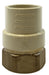 35404LF Midland Transition Fitting (Lead Free) - CPVC Female Adapter - 3/4" CPVC x 3/4" Female Pipe - Brass