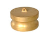 CDP-200-B1 Midland Cam and Groove - Type DP - 2" Dust Plug - Brass