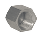 5406C-12 Dixon Zinc Plated Steel Female NPTF Hex Cap - 3/4"-14 Female NPTF Pipe