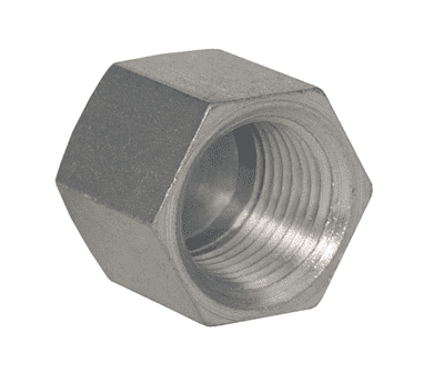 5406C-4 Dixon Zinc Plated Steel Female NPTF Hex Cap - 1/4"-18 Female NPTF Pipe