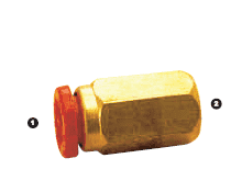 566-04-02 Adaptall Brass -04 Polytube Push to Connect x -02 Female BSP Solid 