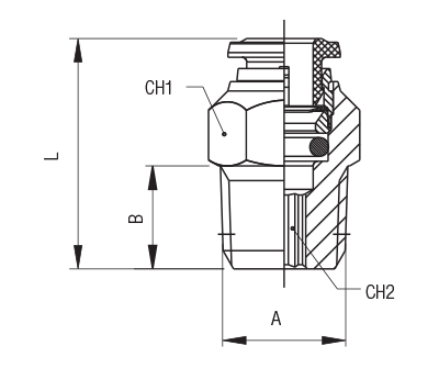 60000-12-3/8 by AIGNEP | 60/62 Series | Tube Push Connect | 12mm Tube x 3/8" BSPT Male | Straight | FKM Seal | Stainless Steel