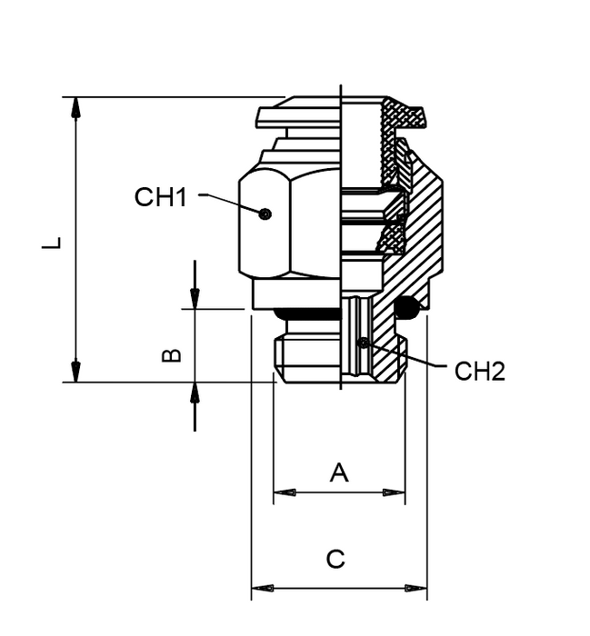 60020-8-1/8 by AIGNEP | 60/62 Series | 8mm (5/16")Tube Push Connect x 1/8" Male BSPP | Straight | FKM Seal | Stainless Steel