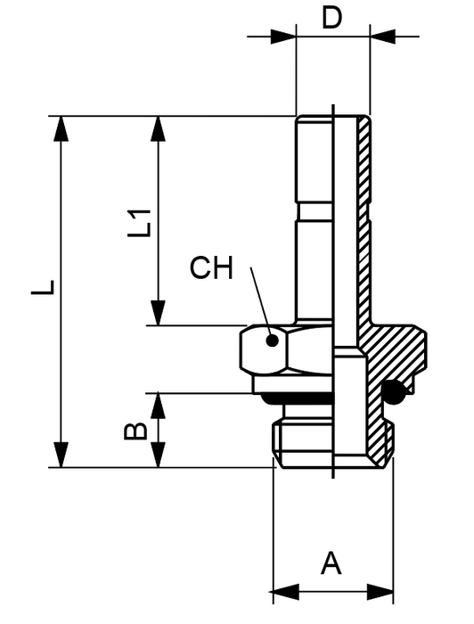 60600-12-1/2 by AIGNEP | 60/62 Series | Standpipe Adapter | 12mm Stud x 1/2" BSPP Male W/O-Ring | Stainless Steel