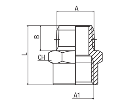 62040-1/4"-1/2 by AIGNEP | 60/62 Series | Reducer | BSPT 1/4" Male x 1/2" Female BSPP | Stainless Steel