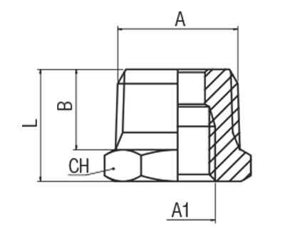 62080-3/4-1/2 by AIGNEP | 60/62 Series | Reducer | 3/4 Male BSPT x 1/2" Female BSPP | Stainless Steel