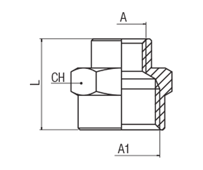 62310-1/8"-1/4 by AIGNEP | 60/62 Series | Reducing Female Coupler | 1/8" BSPP Female x 1/4" BSPP Female