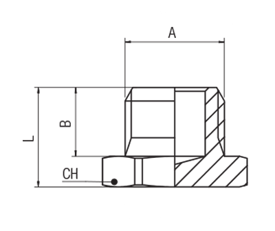 62320-1/4 by AIGNEP | 60/62 Series | Male Plug | 1/4" Male BSPP