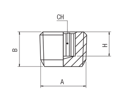 62325-1/2" AIGNEP | 60/62 Series | Stainless Steel Male Plug | Internal Hex |  DIN 906 | 1/2" BSPT