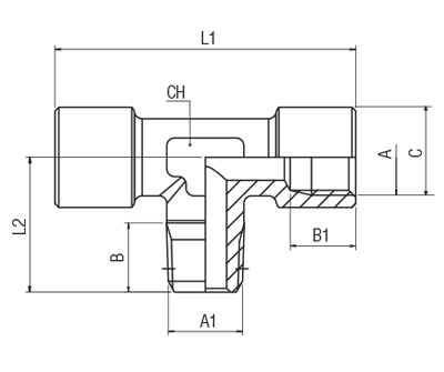 62440-3/8 by AIGNEP | 60/62 Series | Female with Male Branch | 3/8" Male BSPT x 3/8" Female BSPP | Tee | Stainless Steel