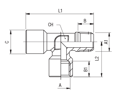 62450-3/8 by AIGNEP | 60/62 Series | Female Run | 2x Female BSPP x 1 Male BSPT 3/8" | Tee | Stainless Steel