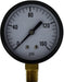 80033 (80-033) Midland Standard Dry Gauge - 1/4" Male NPT Lower Mount - 2-1/2" Face - 0-60 PSI - Steel