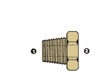 8038-12-08 Adaptall Brass -12 Male BSPT x -08 Female BSP Solid Adapter