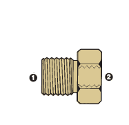 8039-06-06 Adaptall Brass -06 Male BSPP x -06 Female BSP Solid Adapter